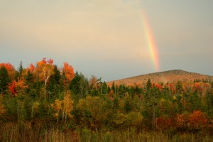 Mother Nature's Rainbow