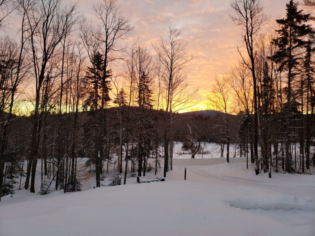 Planning Commission Mount Holly, Vermont