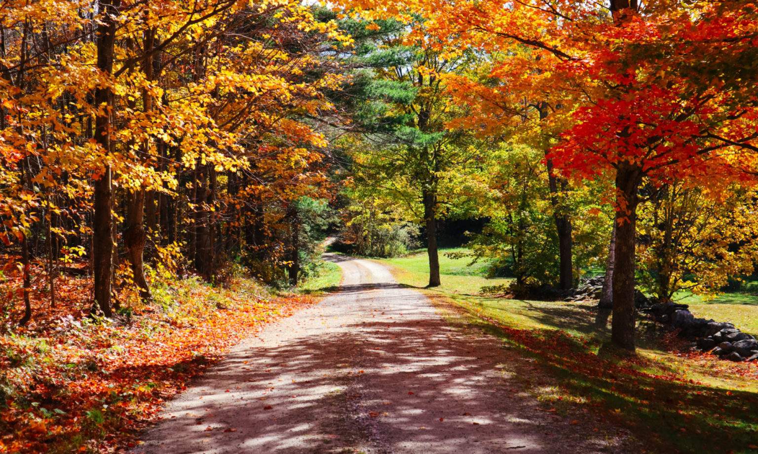 Mount Holly, Vermont Unofficial Town Website